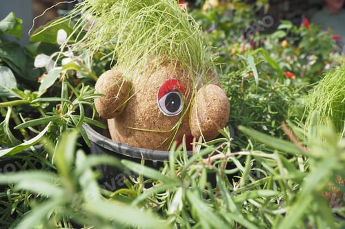 Preview: Handmade doll for growing grass seeds as hairs. Child education
