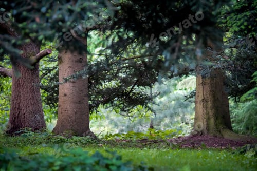 Preview: Green colors of the summer forest