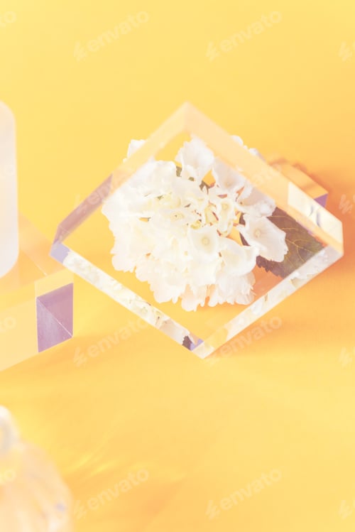 Preview: Acrylic Solid Display Blocks