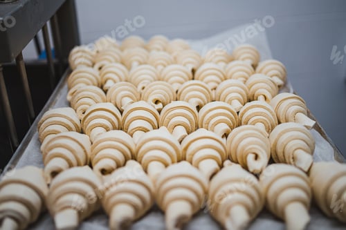 Preview: Unbaked croissants in a row on tray