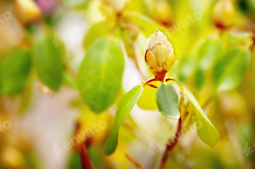 Preview: Spring brings new life