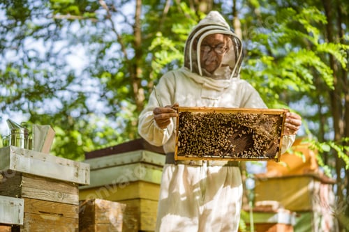 Preview: Beekeeping