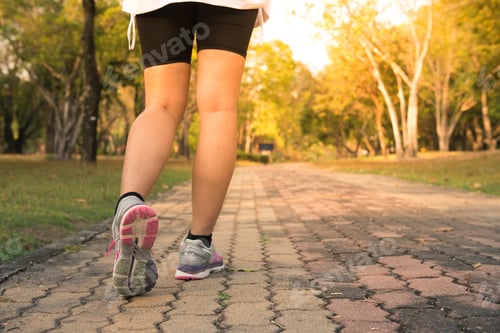 Preview: Fitness woman training and jogging in summer park.