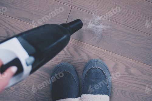 Preview: Woman is vacuuming pet hair from a hardwood floor with a portable cordless vacuum cleaner