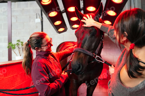 Preview: Close-up of Horse Therapy with Infrared
