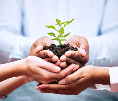 Preview: Shot of a group of businesspeople holding a plant growing out of soil