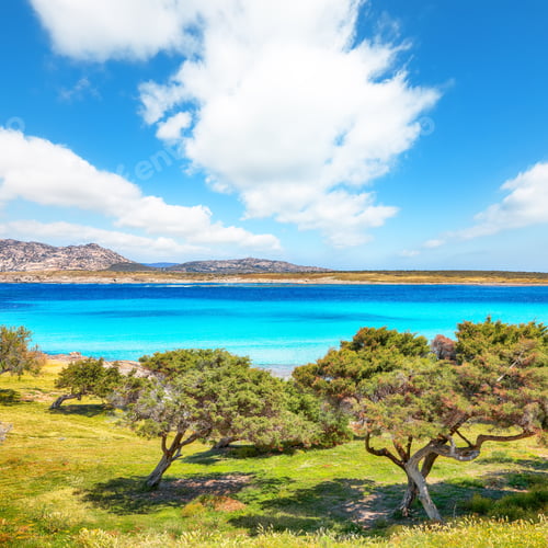 Preview: Breathtaking morning view of Famous La Pelosa beach and garden near Torre della Pelosa
