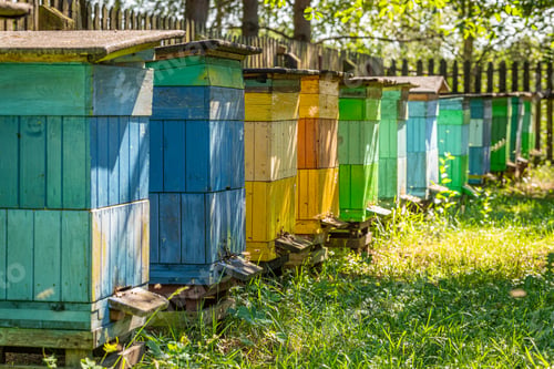 Preview: Old beehives with bees in countryside, Poland