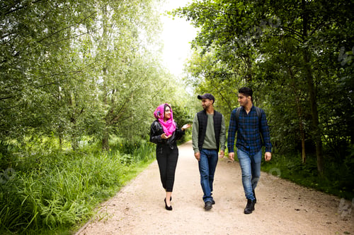 Preview: Friends walking on pathway in park
