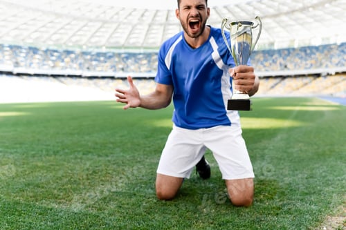Preview: professional soccer player in blue and white uniform with sports cup standing on knees on football