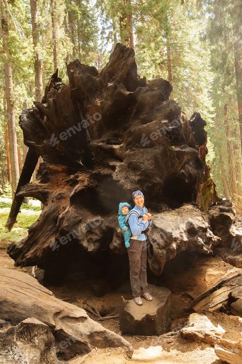 Preview: Mother With Infant Visit Sequoia National Park In California, Usa