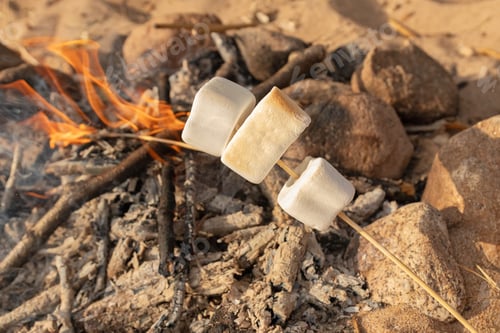Visualização: Marshmallow no palito assando no fogo no verão na praia
