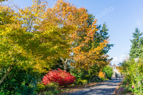 Preview: Fall Colors In Seatac, Washington.