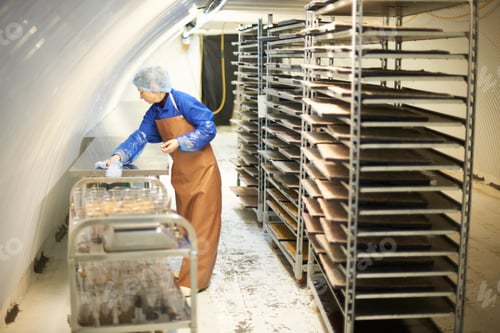 Preview: Female worker cleaning table in underground tunnel nursery, London, UK