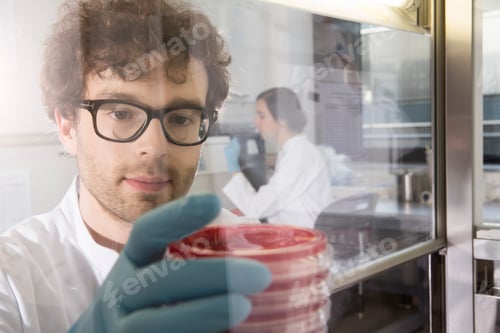 Preview: Scientist working in laboratory, bacteria cultures