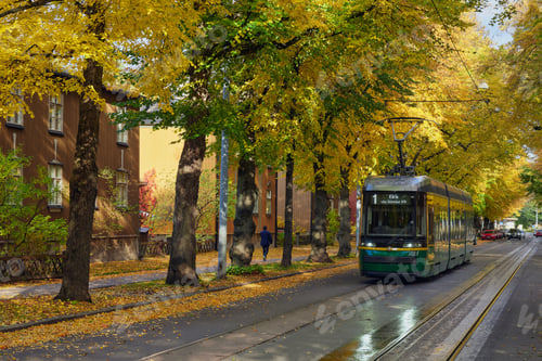 Preview: Tram in European city in autumn.