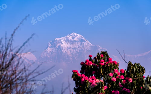 Preview: Mount Dhaulagiri range
