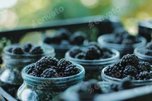 Preview: Blackberries