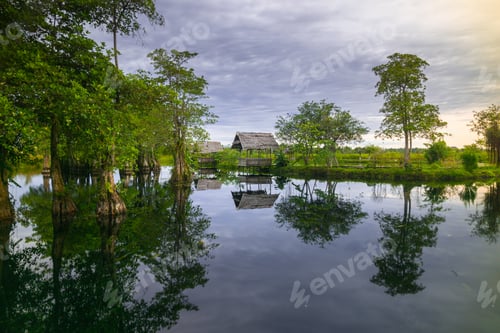 Preview: the beauty of Indonesia with mangrove forests and beaches at sunset