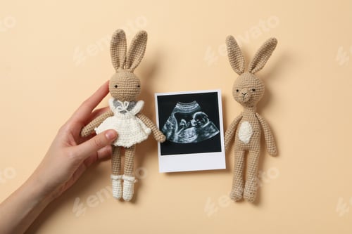 Preview: Concept of maternity, parenting and pregnancy, top view