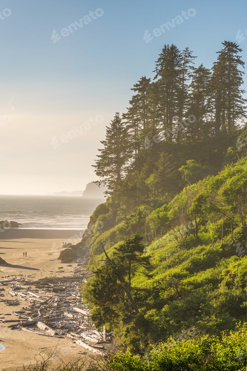 Preview: Ruby Beach, Olympic National Park, Washington, USA