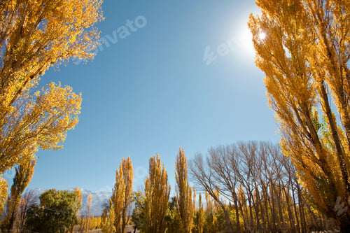 Preview: Autumn landscape