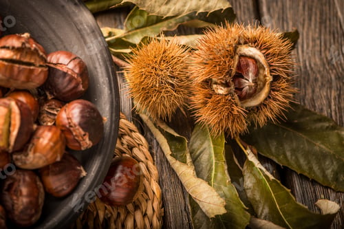 Preview: Roasted chestnuts and leaves