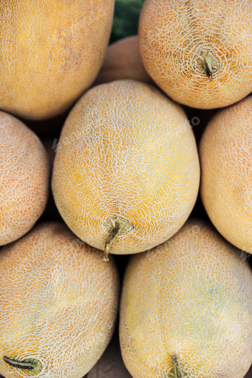 Preview: Pile of melons