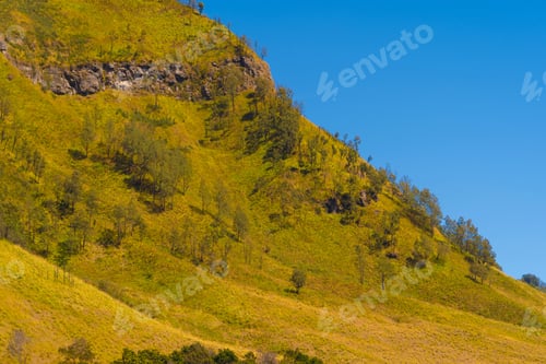 Preview: Mountains. Bromo Savanna Green Hill in the national park, East Java, Indonesia. Nature landscape
