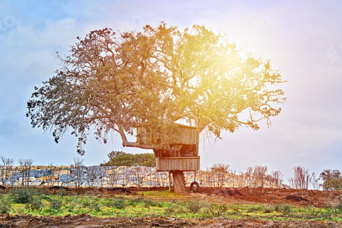 Preview: Tree and small treehouse in backyard against blue sky. Happy childhood in countryside concept