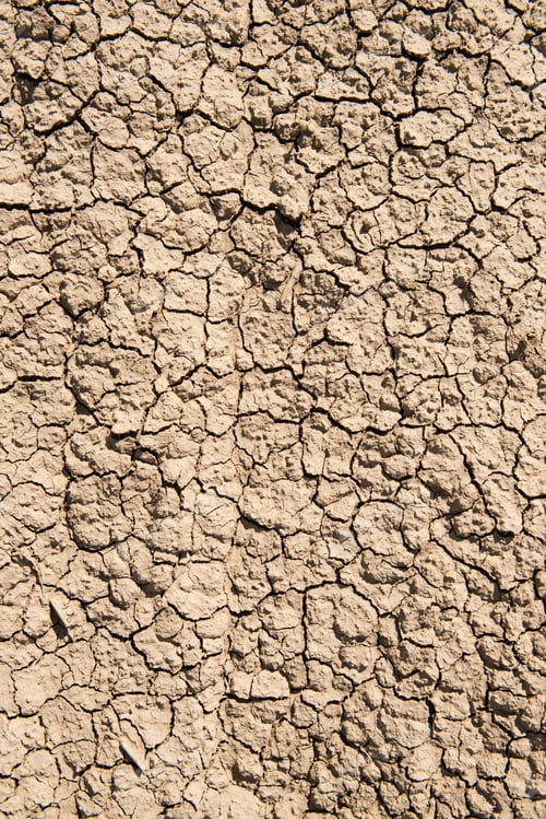 Preview: Dry cracked earth. Climate change background