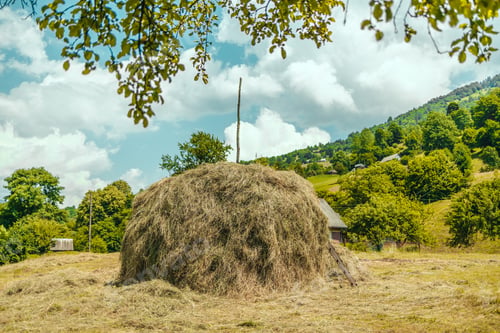 Preview: Haystack on the field high in the mountains at summer time