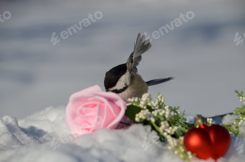 Preview: Valentine's Day