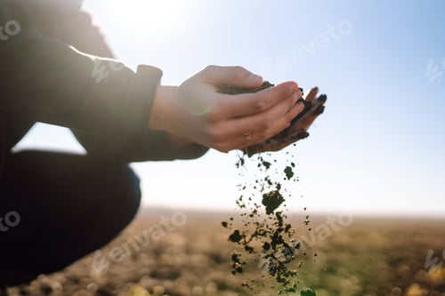 Preview: Hand of expert farmer collect soil. Farmer is checking soil quality before sowing. Ecology concept.