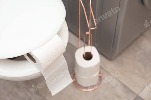 Preview: Toilet bowl with paper roll in bathroom