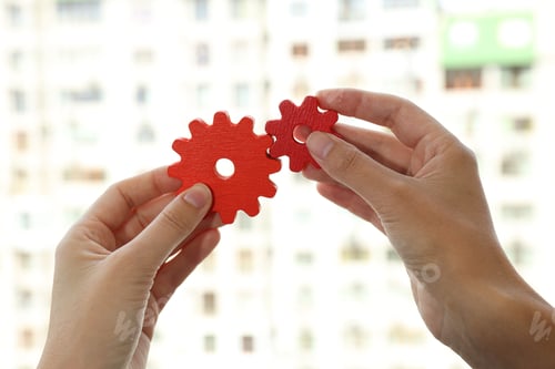 Preview: Female hands hold red gears, close up