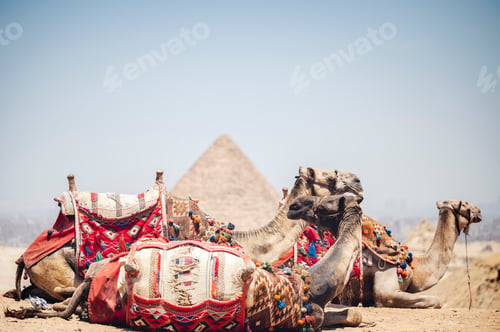 Preview: Closeup of the pyramids in Cairo, Egypt