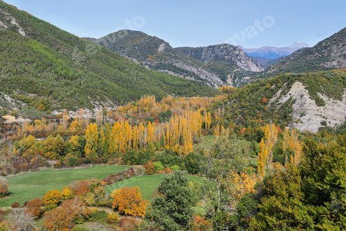 Preview: Gorgeous forest near Biniés, Aragonese pyrenees, Huesca province, Spain