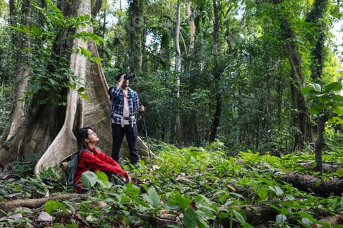 Preview: A couple explores the dense forest, surrounded by lush greenery and towering trees.