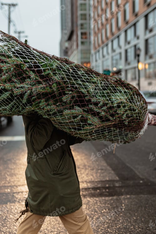 Vista previa: Man is picking Christmas tree. Casual outfit. Christmas time, winter holiday. Green trees. Purchase