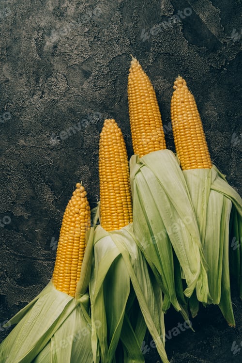 Preview: top view of four corn cobs on grey dark table