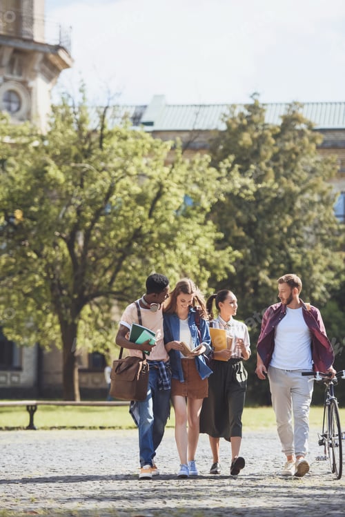 Preview: group of smiling multicultural students walking in park together