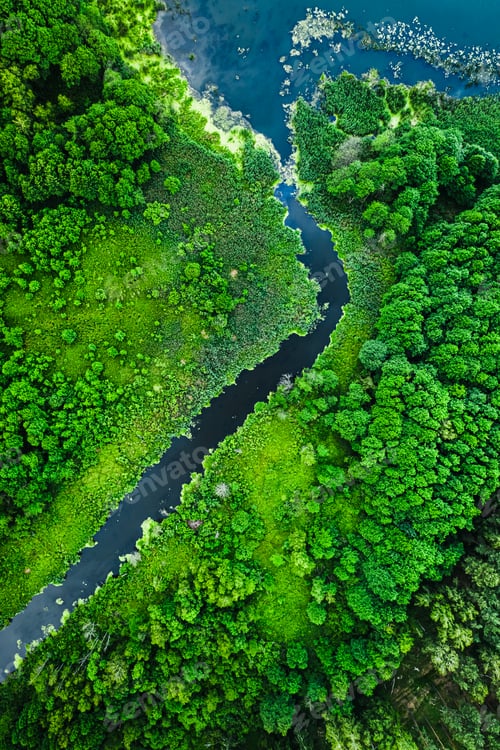 Preview: Green algae on the lake and river, aerial view