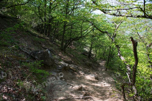 Preview: Mountain Landscape- Springtime Mystical Nature. Journey Through Roads And Stone- Hiking Pathways.