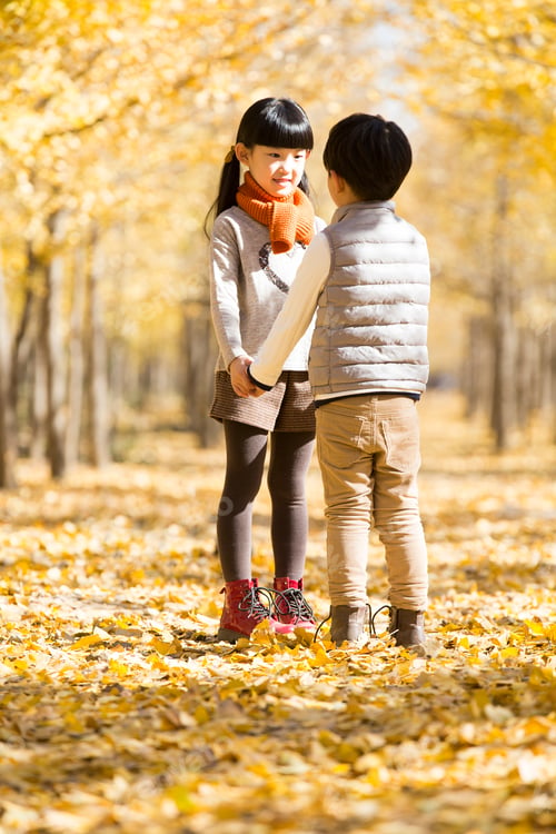 Preview: Two children playing in autumn woods