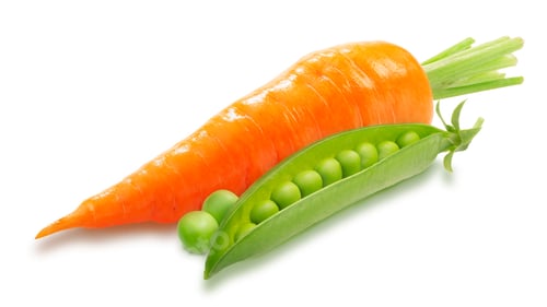 Preview: Carrot with pead pods and seeds isolated