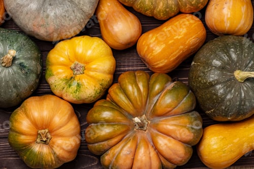 Preview: Background of a lot of colorful pumpkins