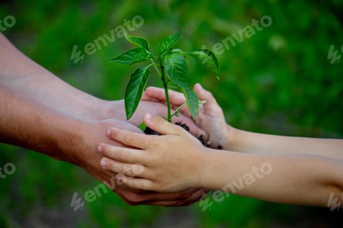 Preview: father and child plant a plant in the garden.