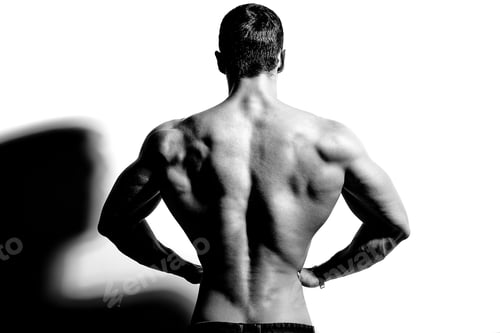 Preview: Portrait of young strong man with perfect sportive body posing in studio