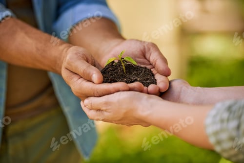 Preview: Green is the color of hope